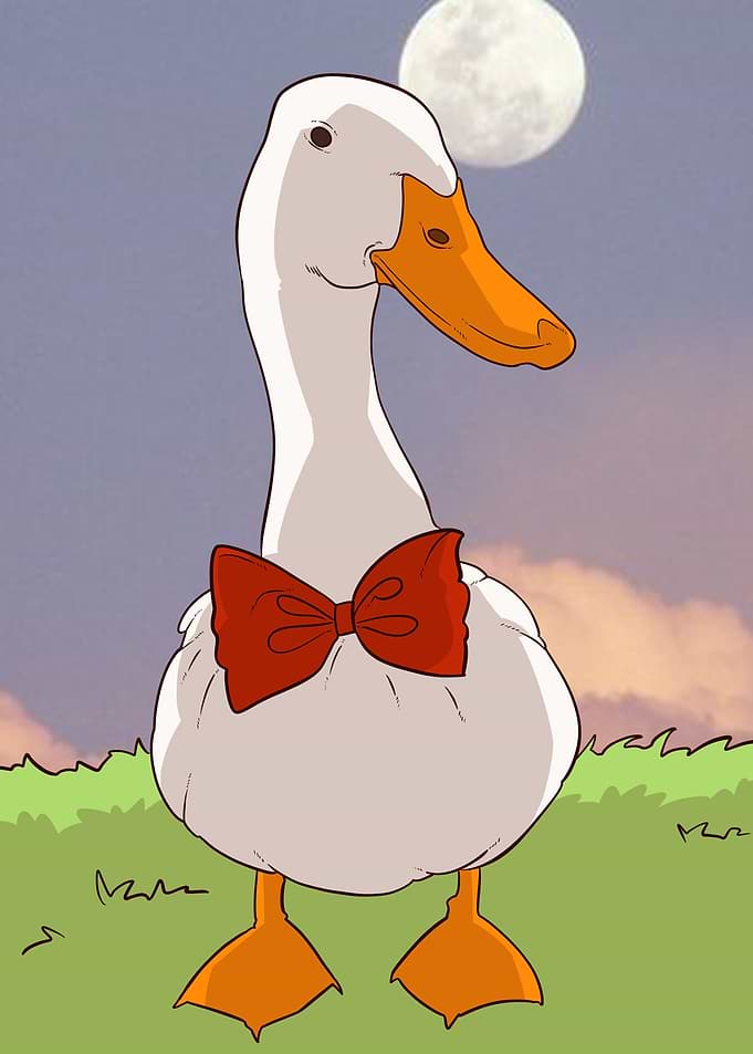 aesthetic duck