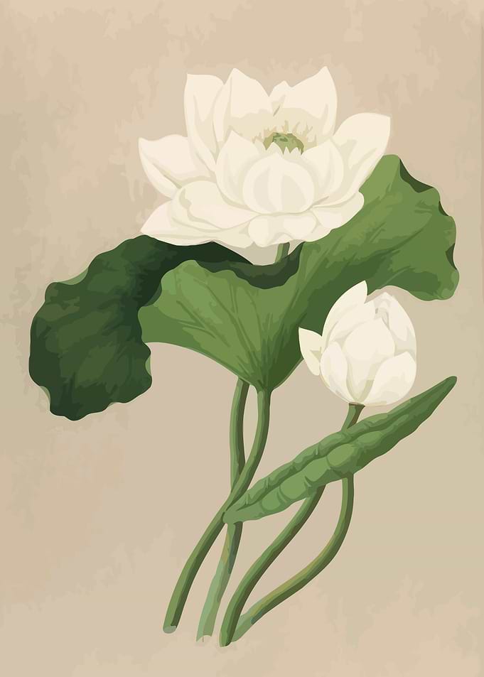 Floral Lotus