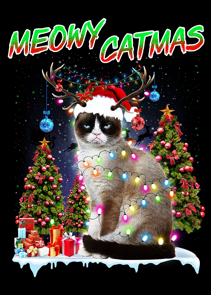 siamese meowy catmas