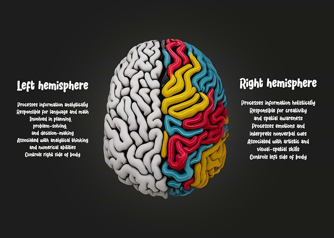 Human Brain Facts