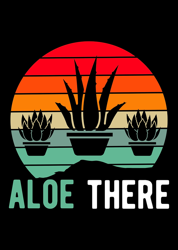 Aloe Vera Pun Plant