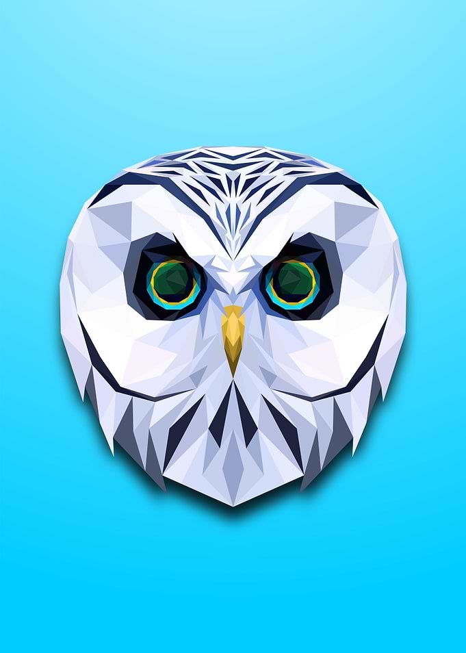 Owl Lowpoly