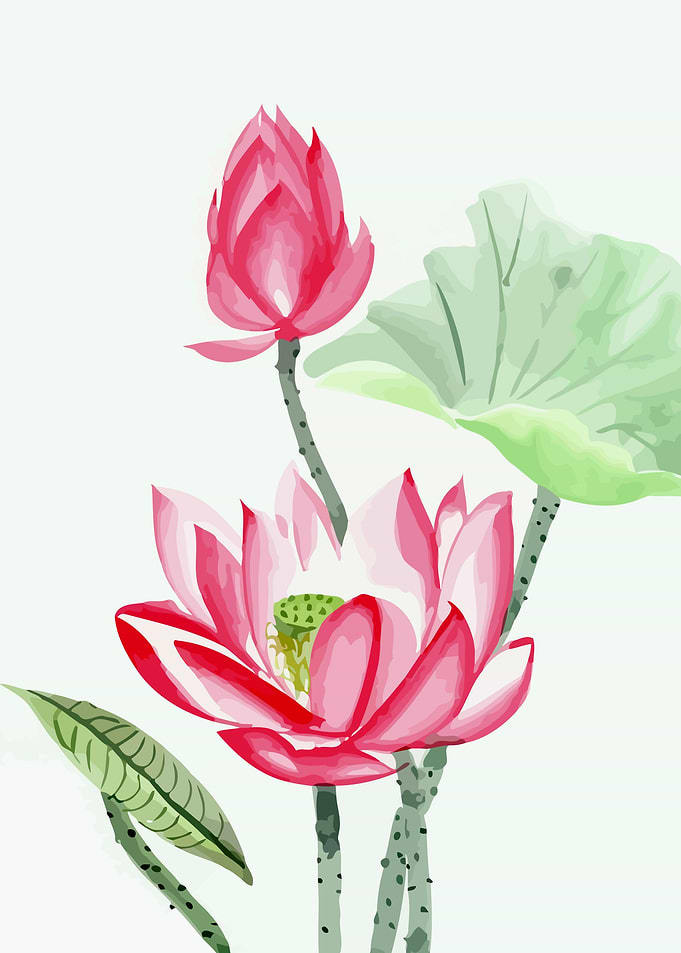 Floral Lotus