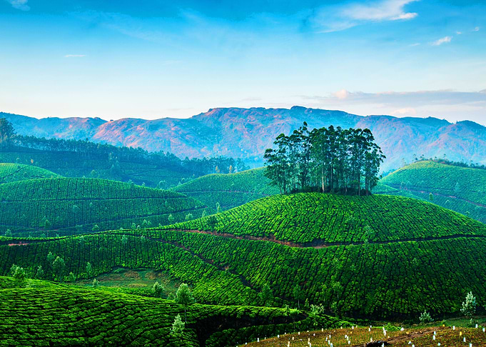 Natures