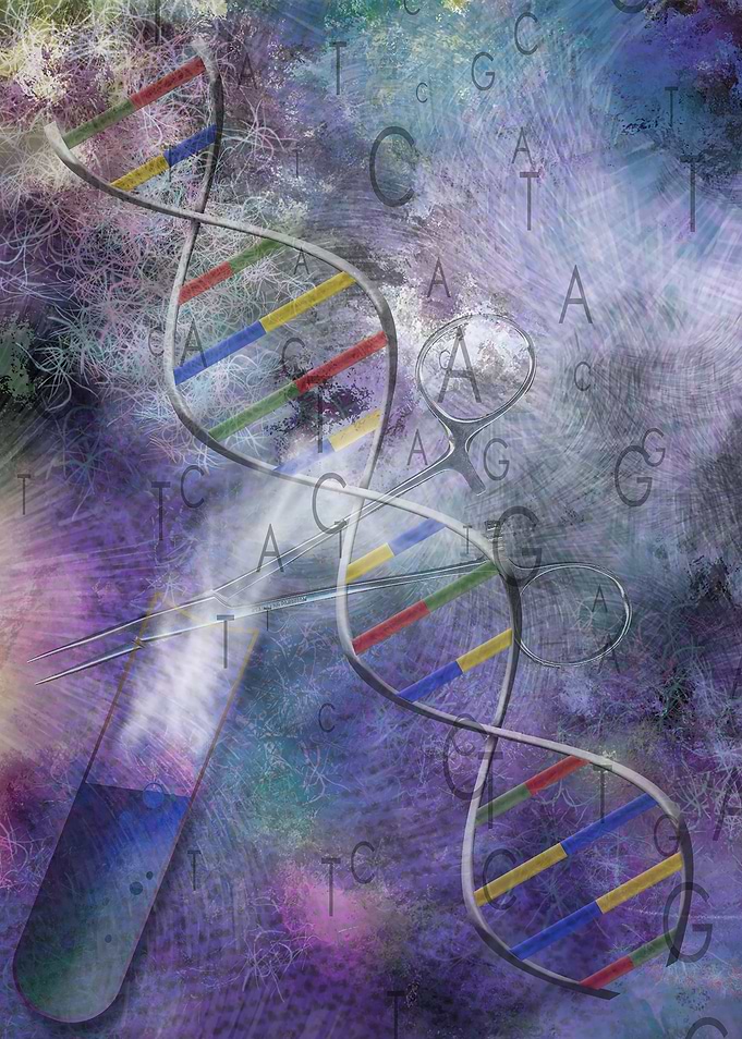 DNA modifications