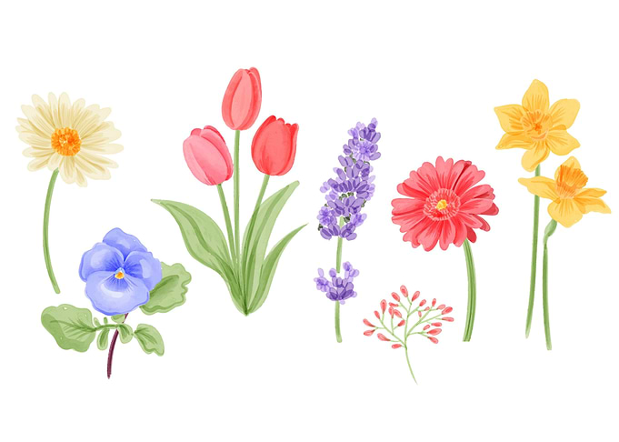 Beautiful Spring Flowers
