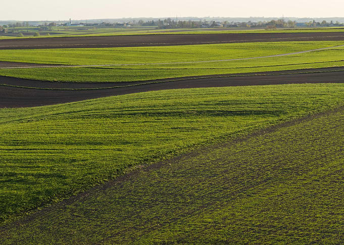 Fields Patchwork