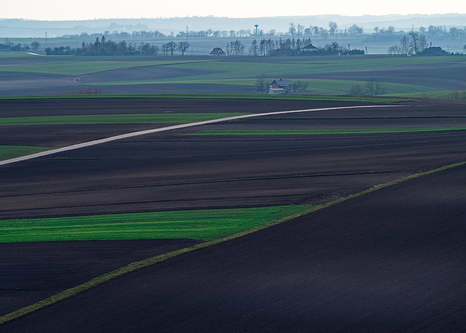 Fields Patchwork