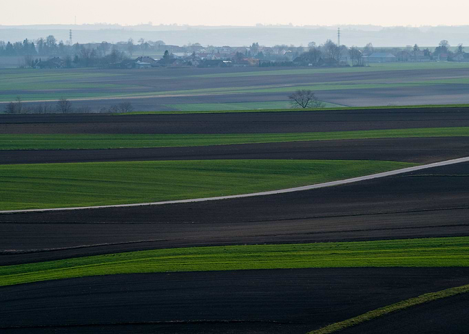 Fields Patchwork