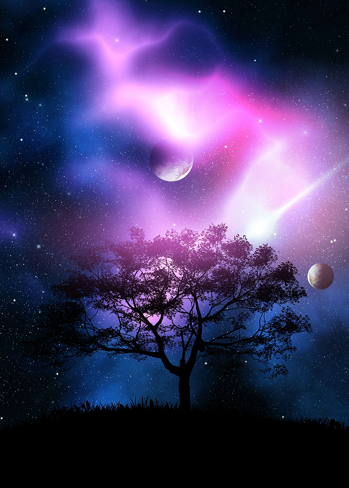 Space Of Tree