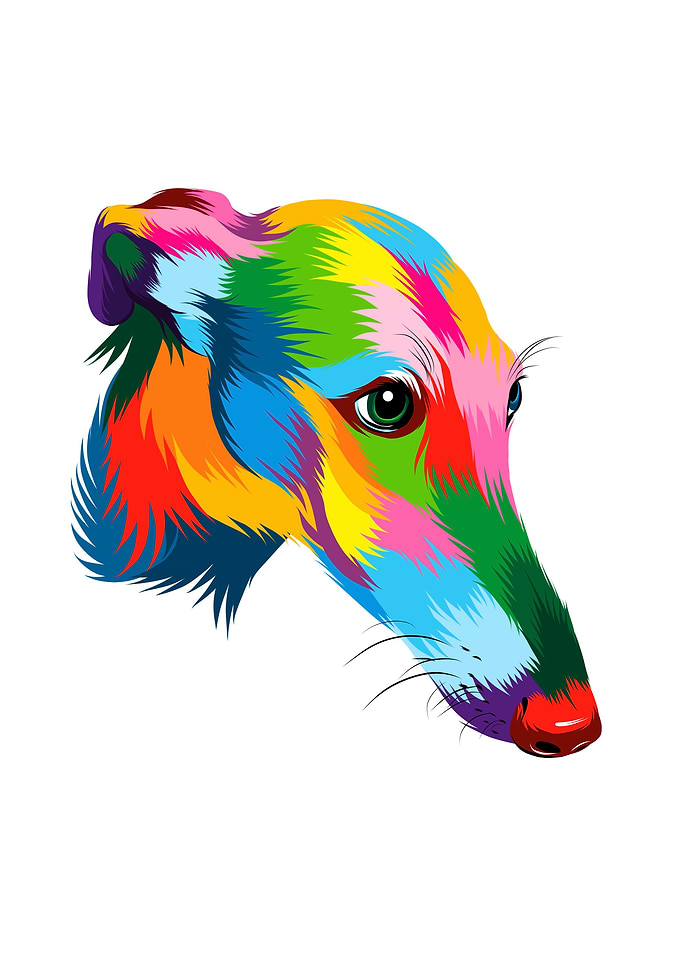 Abstract greyhound dog