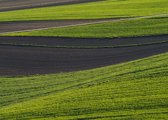 Fields Patchwork