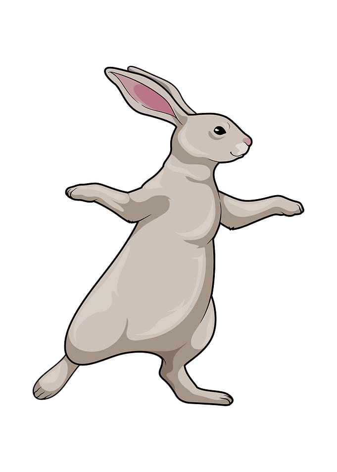 Rabbit Yoga Fitness
