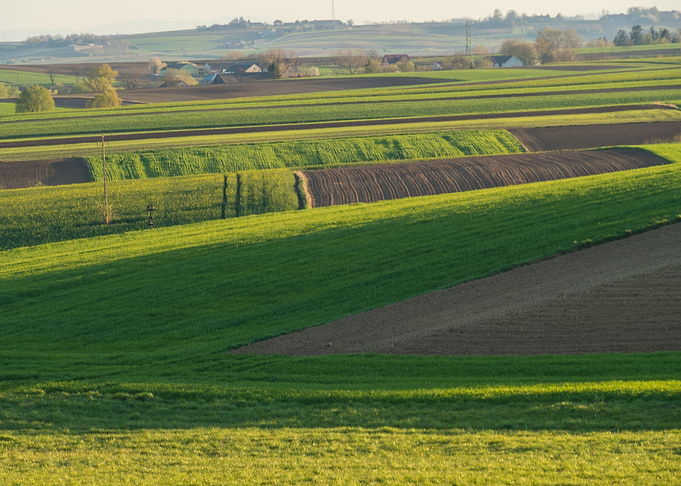 Fields Patchwork