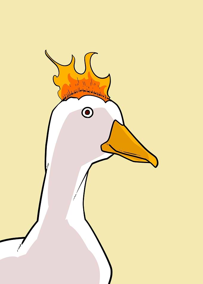 duck on fire