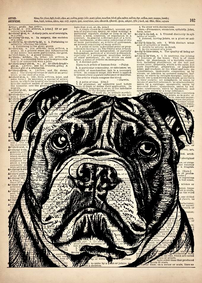 American Pit Bull art
