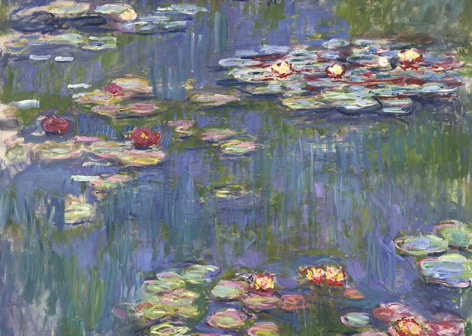 Water lilies