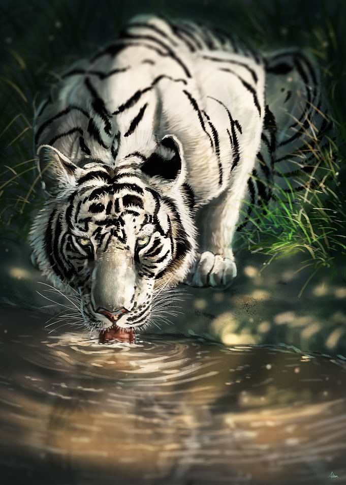 White Tiger
