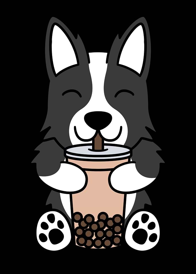 Border Collie Bubble Tea