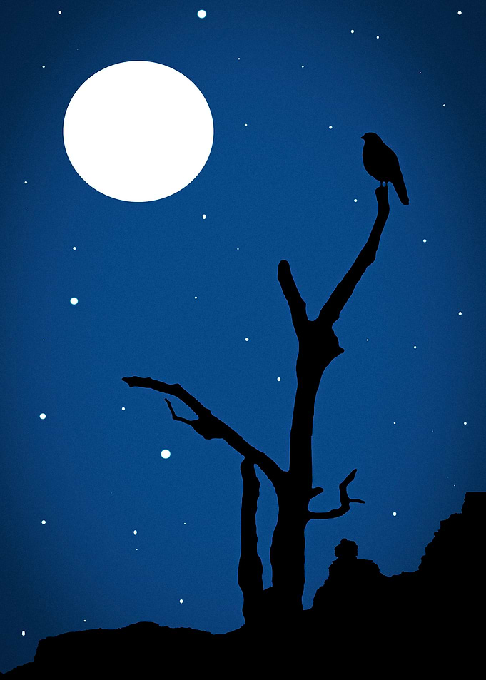 Midnight Magic Landscape