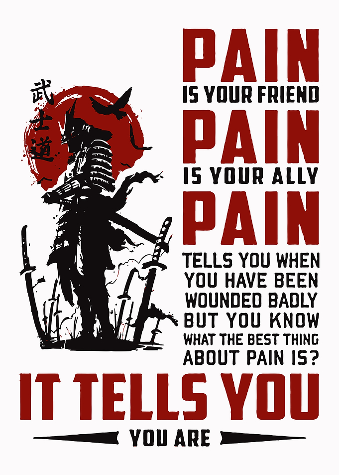 Samurai Pain Is Friend