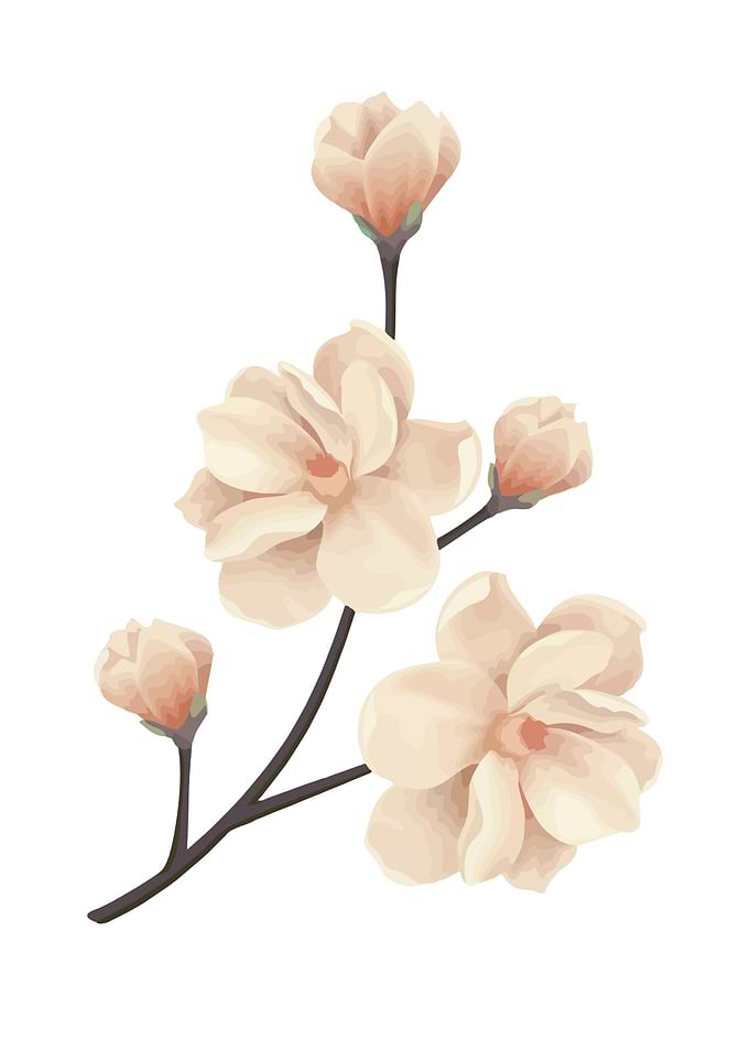 Floral Flower