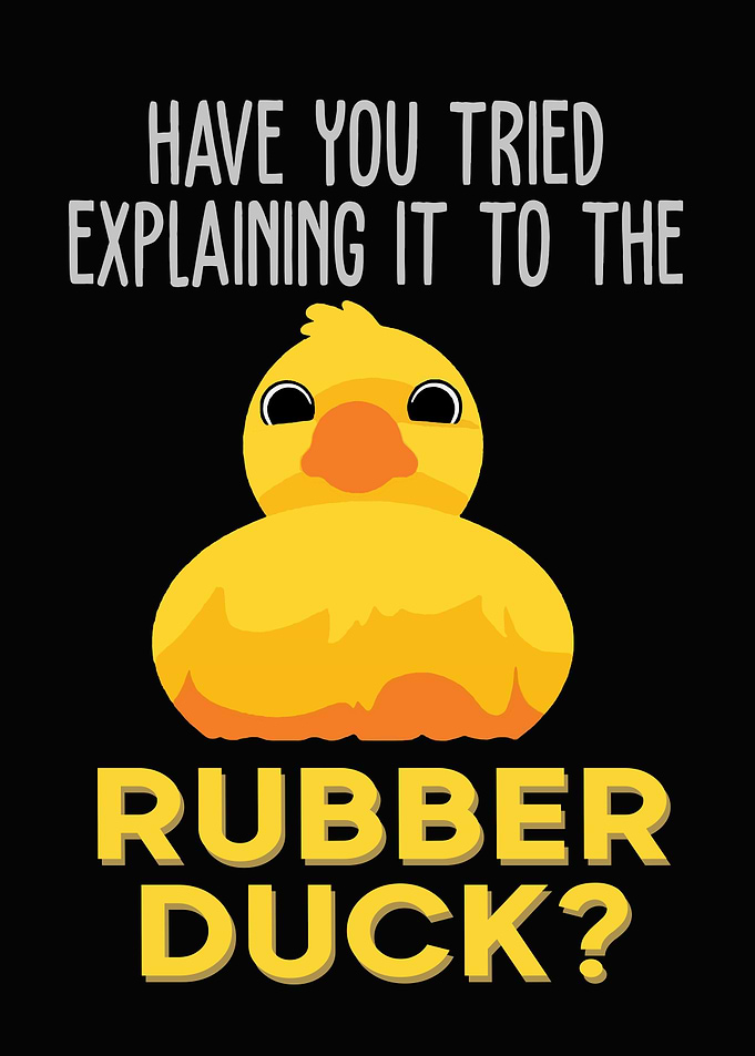 rubber duck programmer