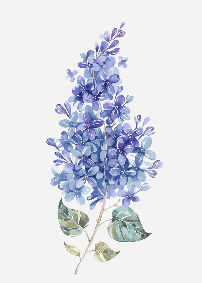 Floral Flower