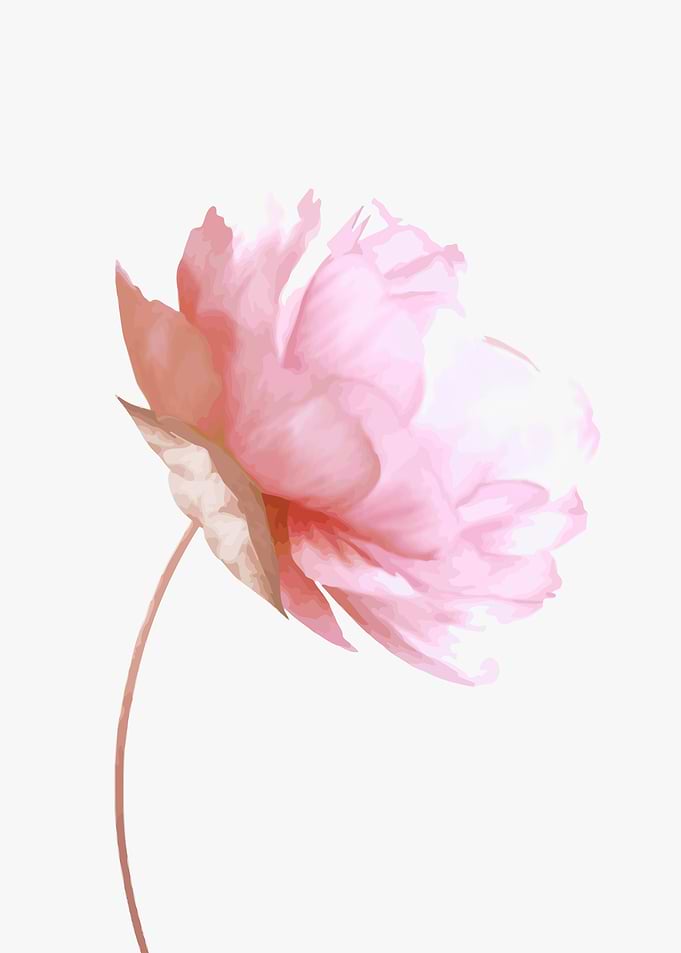 Floral Flower