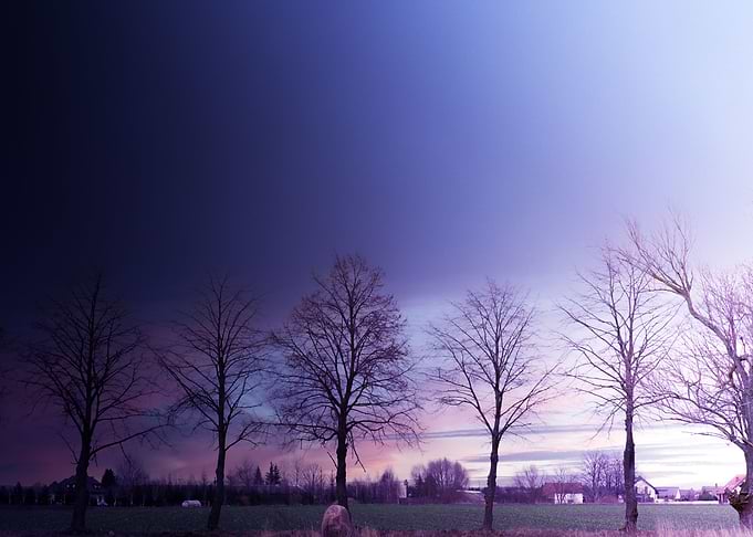 trees