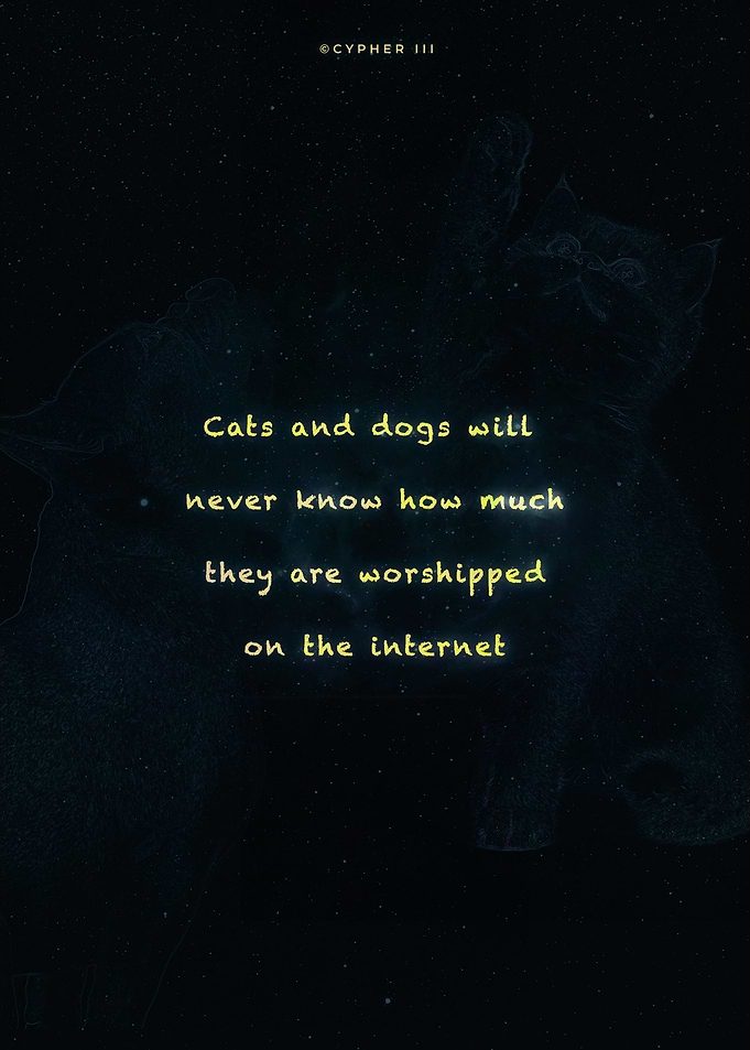 Reigning cats and dogs