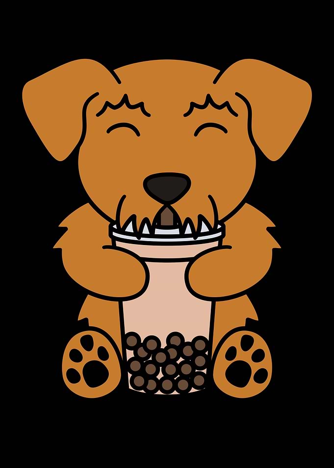 Airedale Terrier Boba
