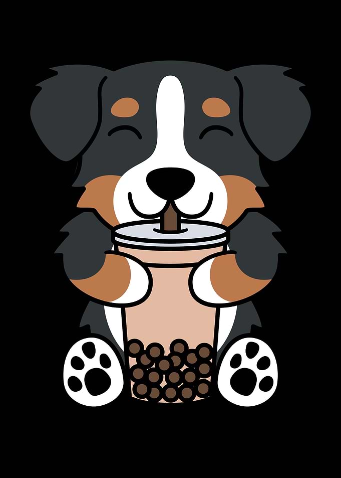 Bernese Mountain Dog Boba