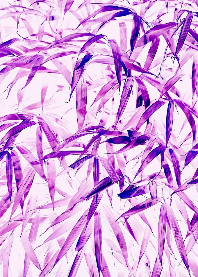 Ultra Violet
