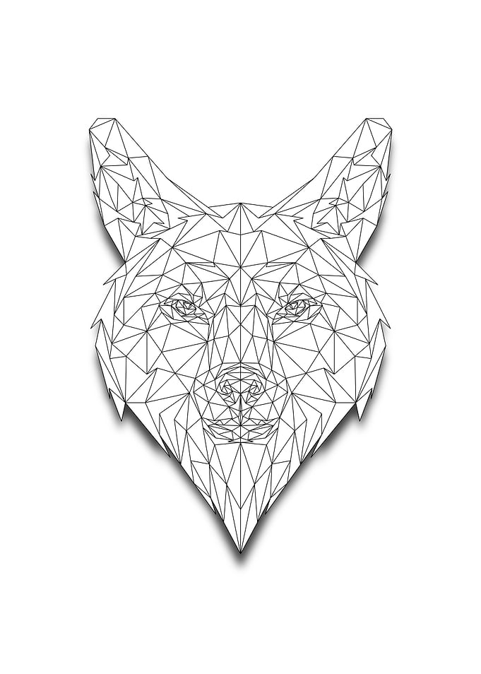 Wolf Low Poly Wireframe