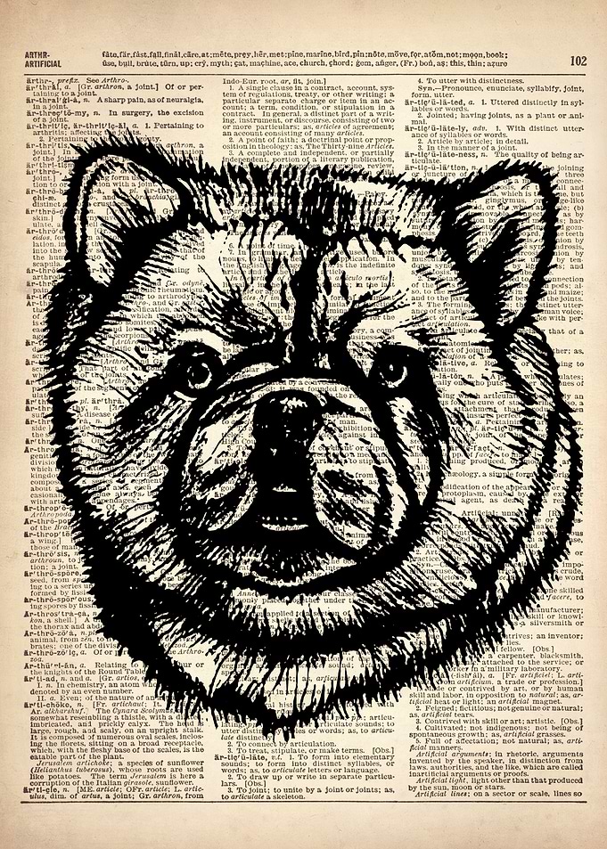 chow chow DOG ILLUSTRATION