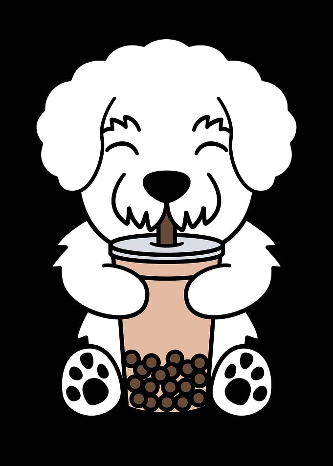 Bichon Frise Bubble Tea