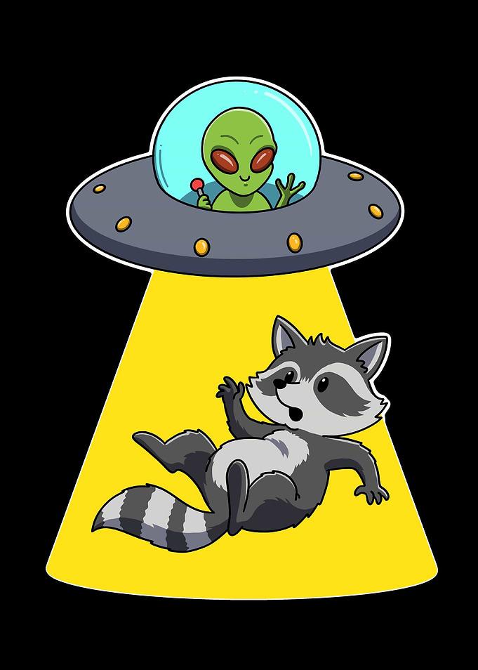Alien UFO Funny Raccoon