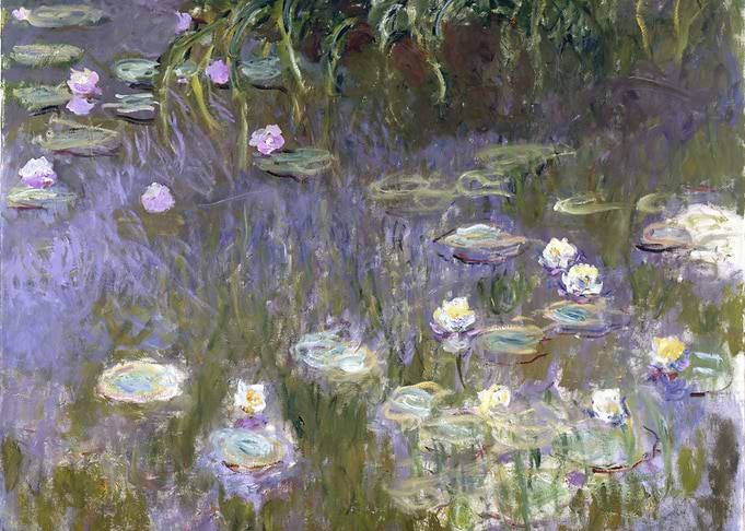 Water lilies