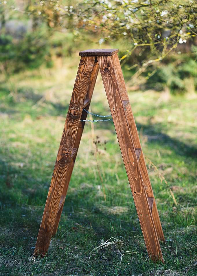 Ladder