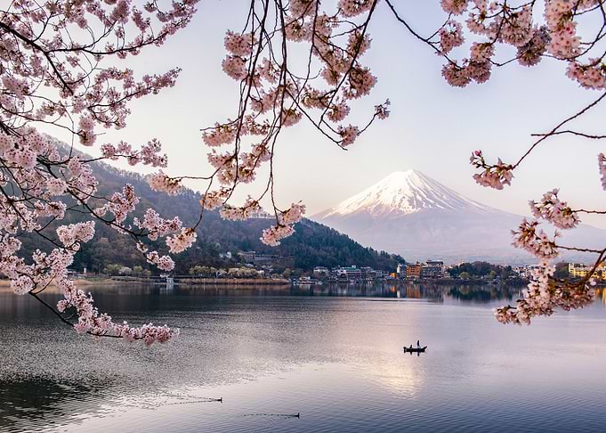 Fuji Mountain with Mornin