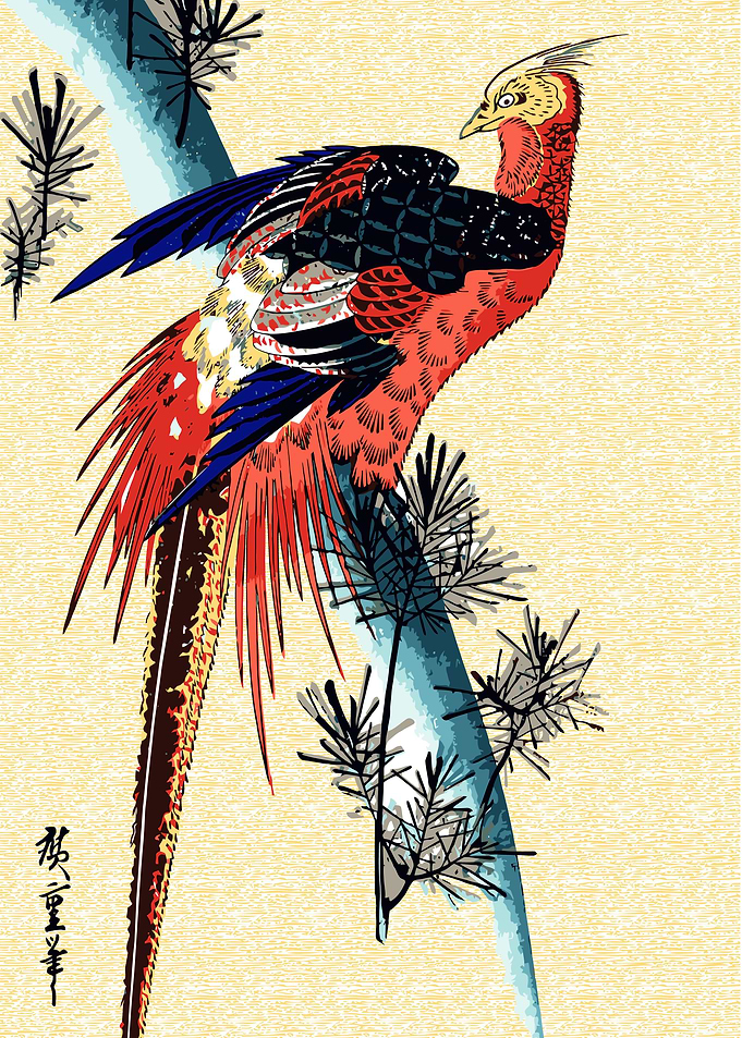 Vibrant Pheasant