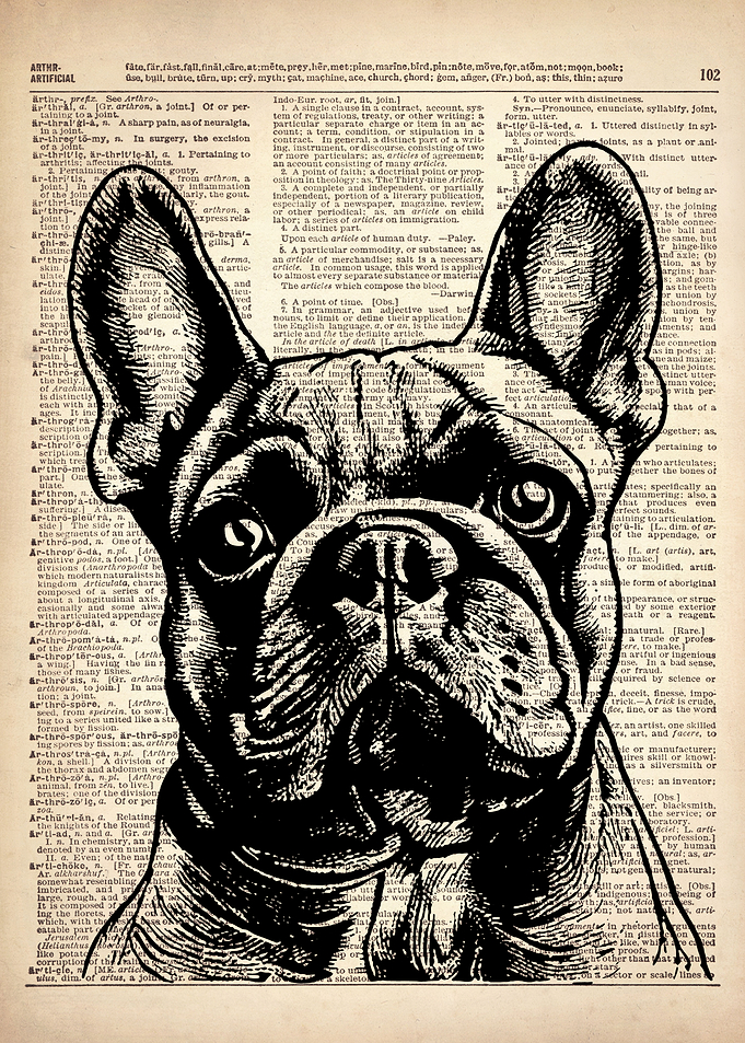 French Bulldog LINE art