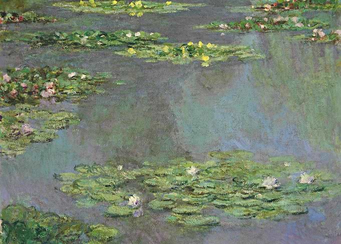 Water lilies