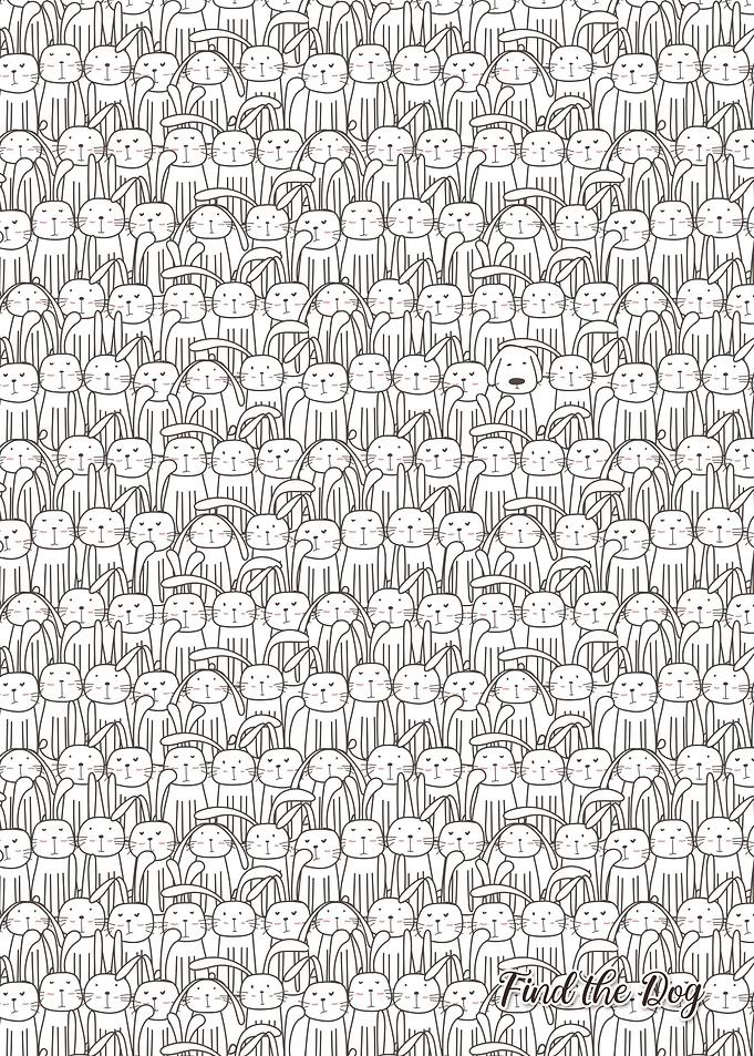 Find the Cat in Rabbits