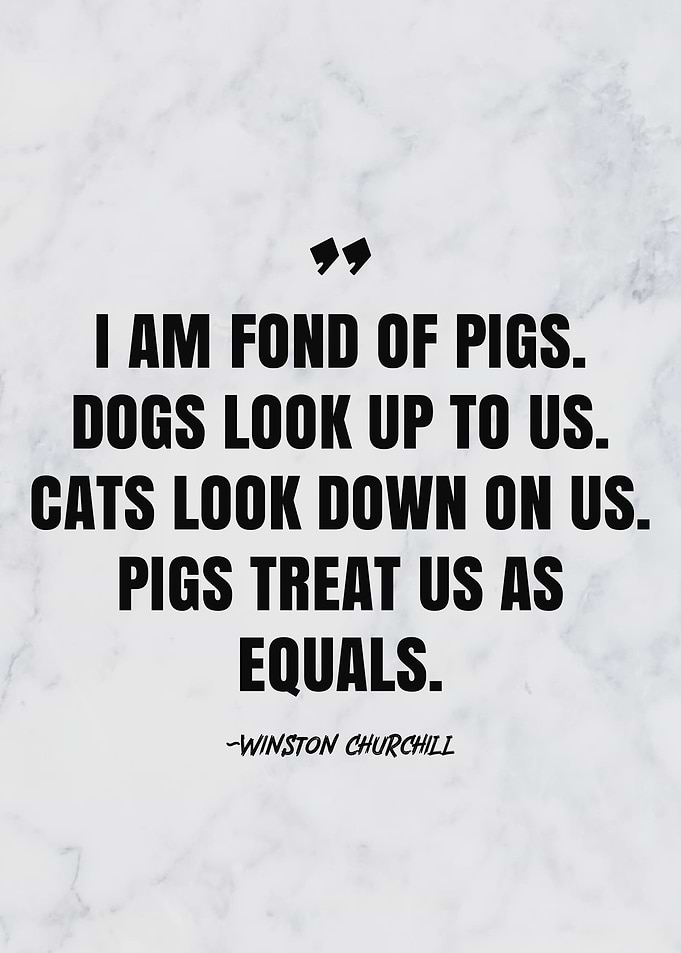 Winston Churchill Quotes