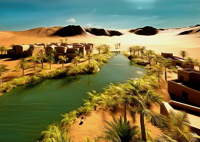 OASIS IN THE DESERT EGYPT