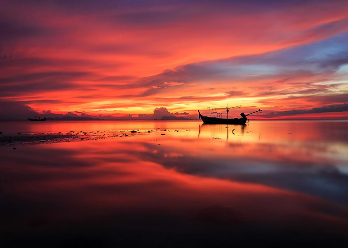 Natures