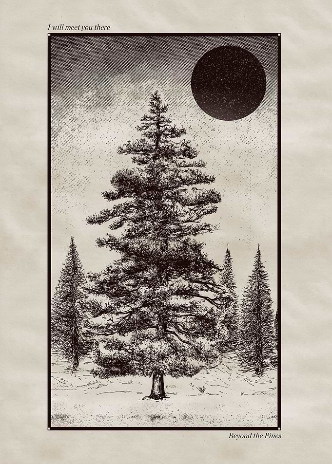 Beyond The Pines