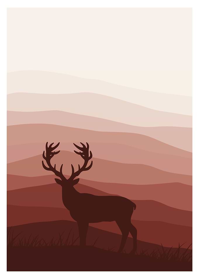 Boho Landscape